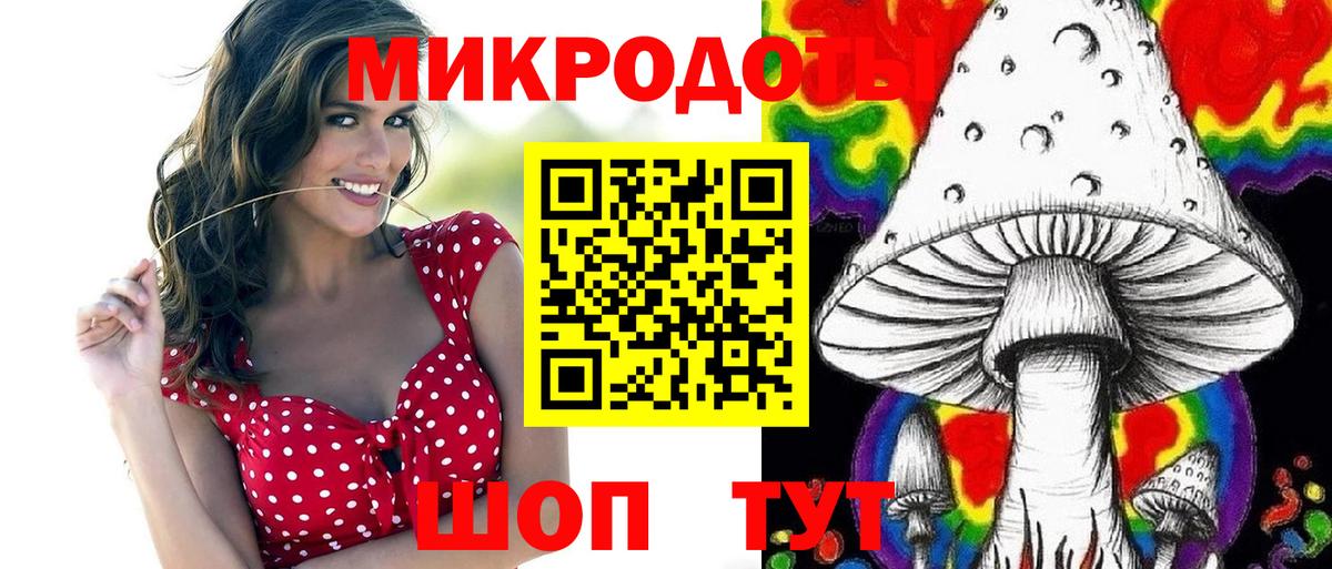 Псилоцибиновые грибы Psilocybe  Вход с VPN  Красногорск 
